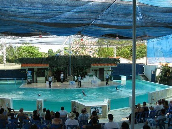 Samui Aquarium and Tiger Zoo